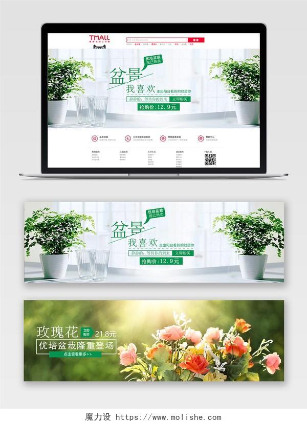 绿色清新春天植物绿叶淘宝电商背景banner小清新植物